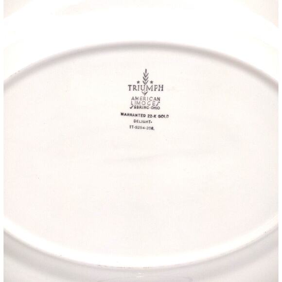 Vintage American Limoges Delight Oval Dinner Platter 22K Gold On Rim - 13.5x10 - Picture 4 of 7